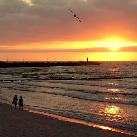 219 Przy Plazy 200M Dobruk Apartamenty Prywatny Pieciogwiazdkowym Hotelu Royal Tulip Sand