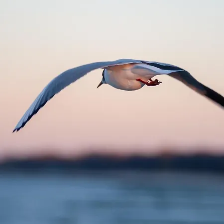 Appartamento 219 Przy Plazy 200M Dobruk Apartamenty Prywatny Pieciogwiazdkowym Hotelu Royal Tulip Sand Kołobrzeg